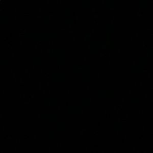 Meet your Posher, Sammy